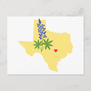 Texas State Vykort