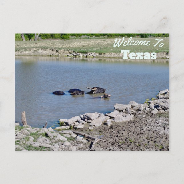 Texas State Vykort (Framsida)