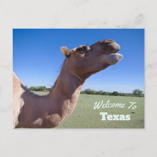 Texas State Vykort