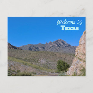 Texas State Vykort