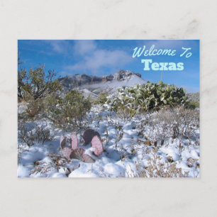 Texas State Vykort