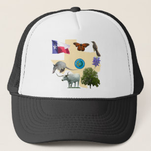 Texas statliga symboler keps