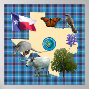 Texas statliga symboler poster