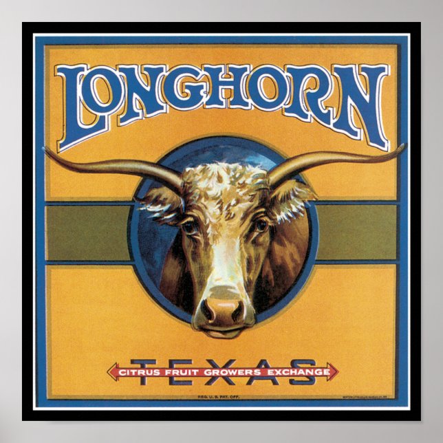 Texas Steer Longhorn Poster (Framsidan)