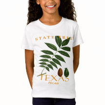 Texas Territory Pekanträd