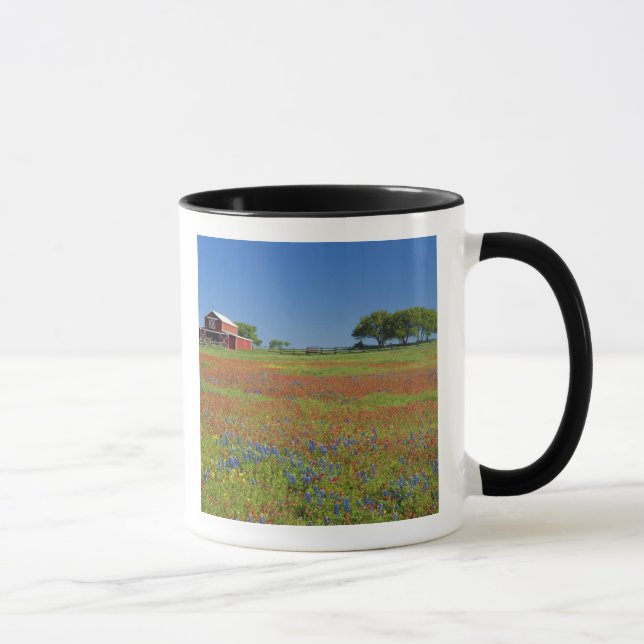 Texas Texas backeland, Texas paintbrush Mugg (Höger)