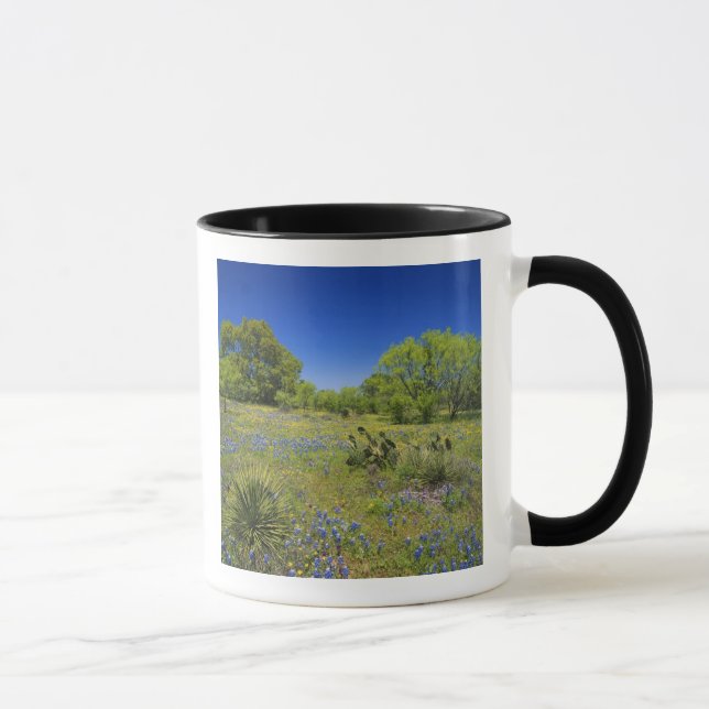 Texas, Texas Hill Country, Låg blåspäckad balja, Mugg (Höger)
