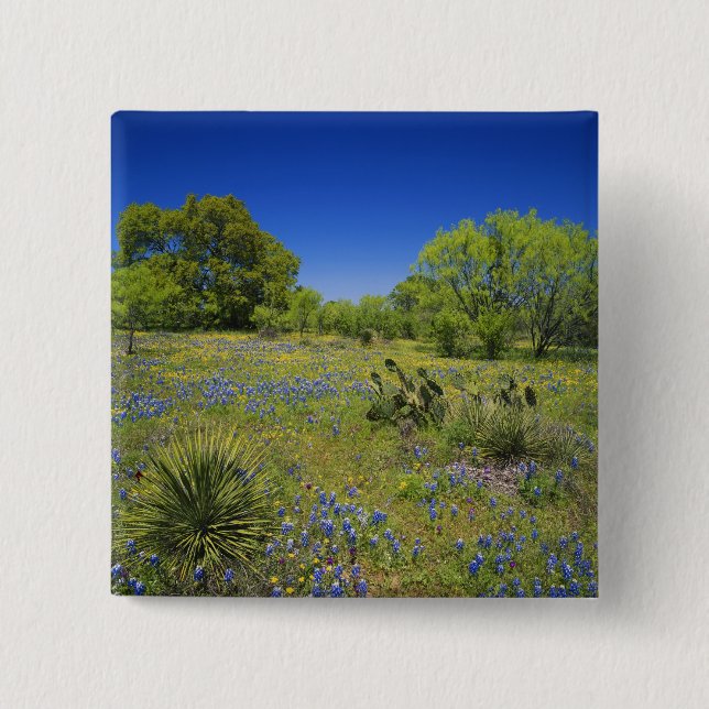 Texas, Texas Hill Country, Låg blåspäckad, Knapp (Framsida)