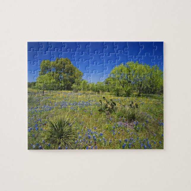 Texas, Texas Hill Country, Låg blåspäckad, Pussel (Horisontell)