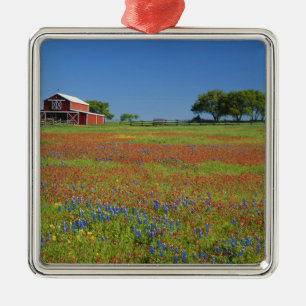 Texas, Texas Hill Country, Texas-målarborste Julgransprydnad Metall