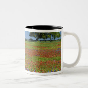 Texas, Texas Hill Country, Texas-målarpensel Två-Tonad Mugg