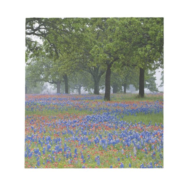 Texas, Texas Hill Country, Texas-pensel och Anteckningsblock (Framsida)