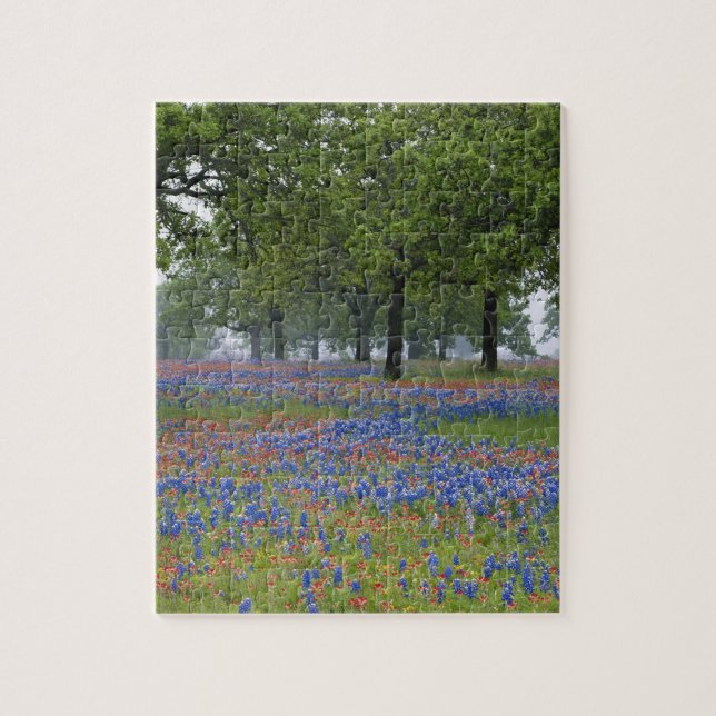 Texas, Texas Hill Country, Texas-pensel och Pussel (Vertikal)