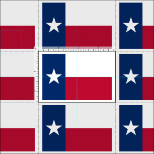 TEXAS TYG