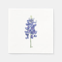 Texas Vild Flower Bluebonnet