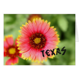 Texas vildblomma OBS kort