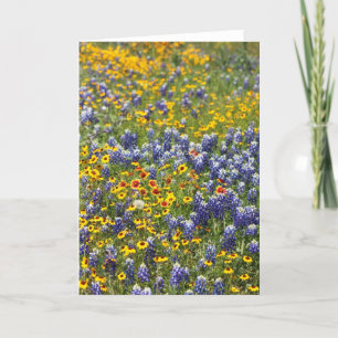 Texas vildblommar av Cynthia Wenslow Kort