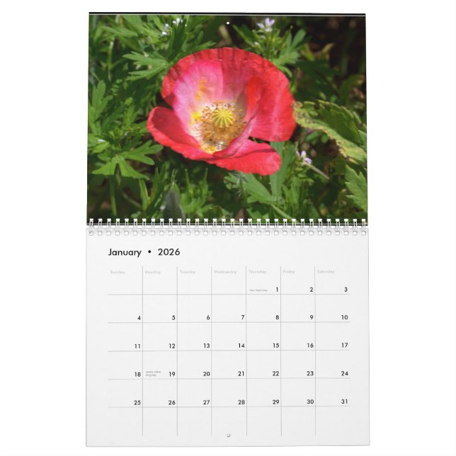 Texas vildblommar kalender (Jan 2026)
