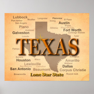 Texas Vintage Karta Poster