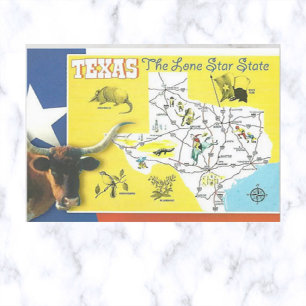 Texas Vintage Lone Star State-vykort Vykort