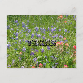 TEXAS Vykort