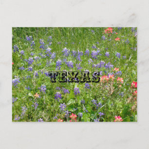 TEXAS Vykort