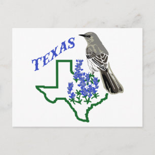 Texas Vykort