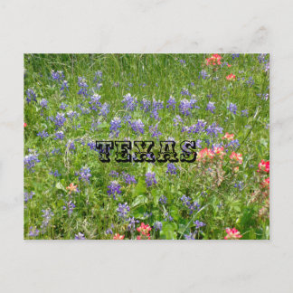 TEXAS-vykort Vykort