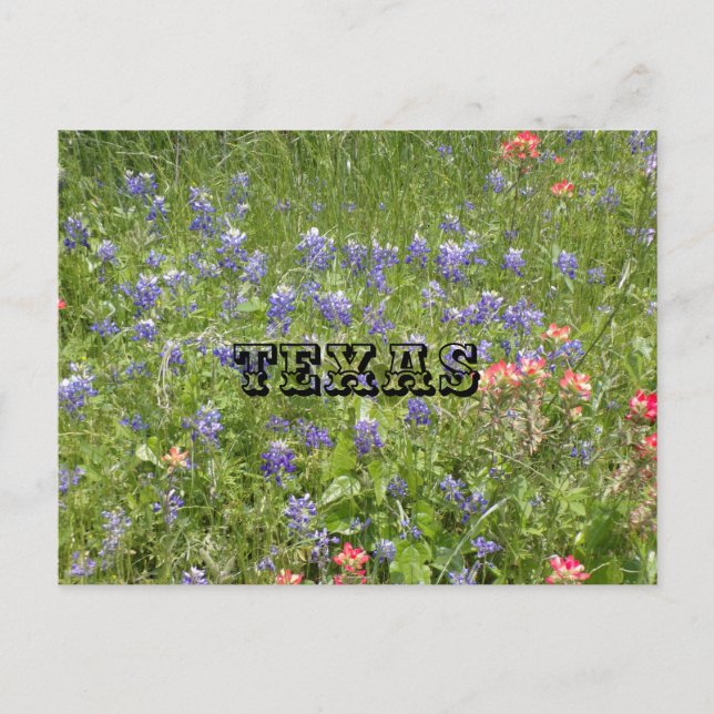 TEXAS-vykort Vykort (Framsida)