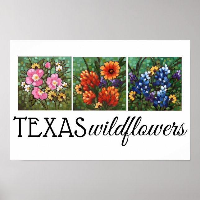 "Texas Wildblommor" 16,5" x 11" Poster (Framsidan)