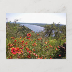 Texas Wildblommor - Indiskt Blanket Vykort