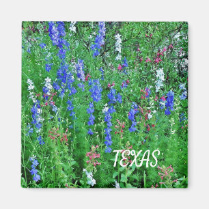 Texas Wildblommor Magnet