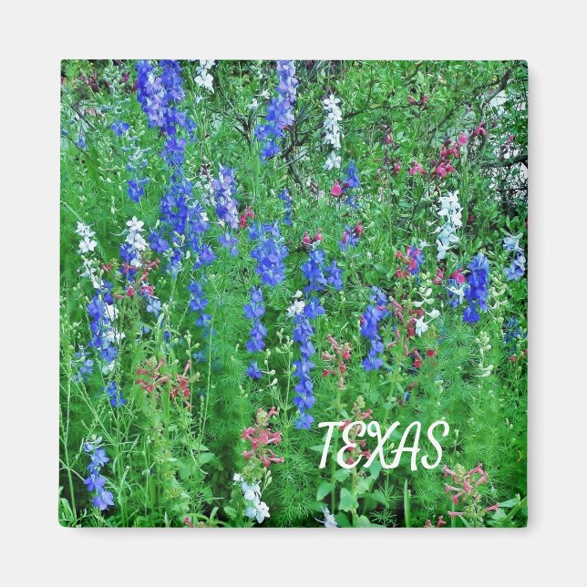 Texas Wildblommor Magnet (Framsidan)