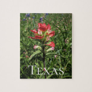 Texas Wildblommor Pussel