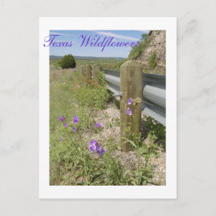 Texas Wildblommor Vykort
