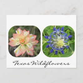 Texas Wildblomvykort Vykort