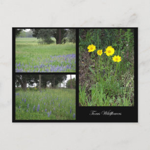 Texas Wildblomvykort Vykort