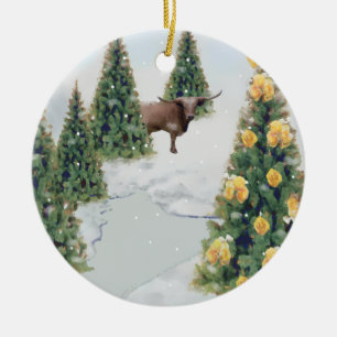 Texas Winter ornament