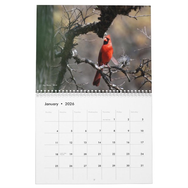 Texass naturliga skönhet 2011 kalender (Jan 2026)