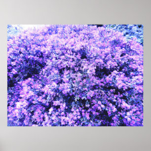 TEXASSAGE POSTER