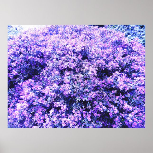 TEXASSAGE POSTER (Framsidan)