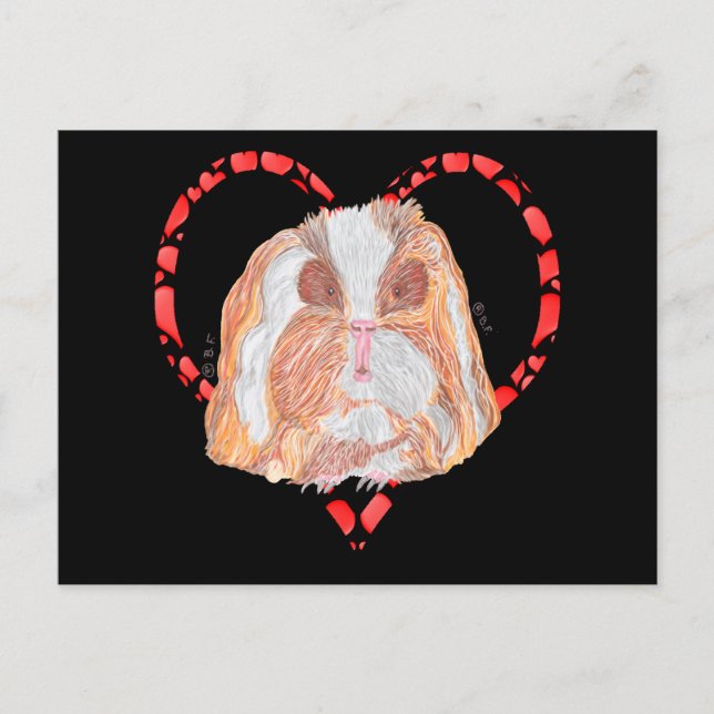 TEXEL GUINEA PIG HEART HELG VYKORT (Framsida)