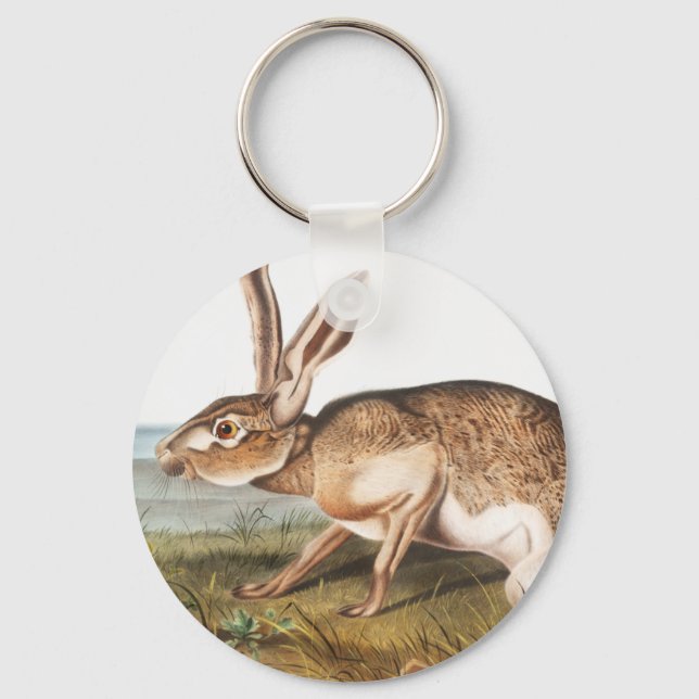 Texian Hare (Lepus Texianus) Nyckelring (Framsida)