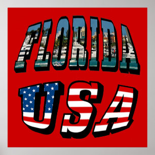Text från Florida Bild och USA flagga Poster