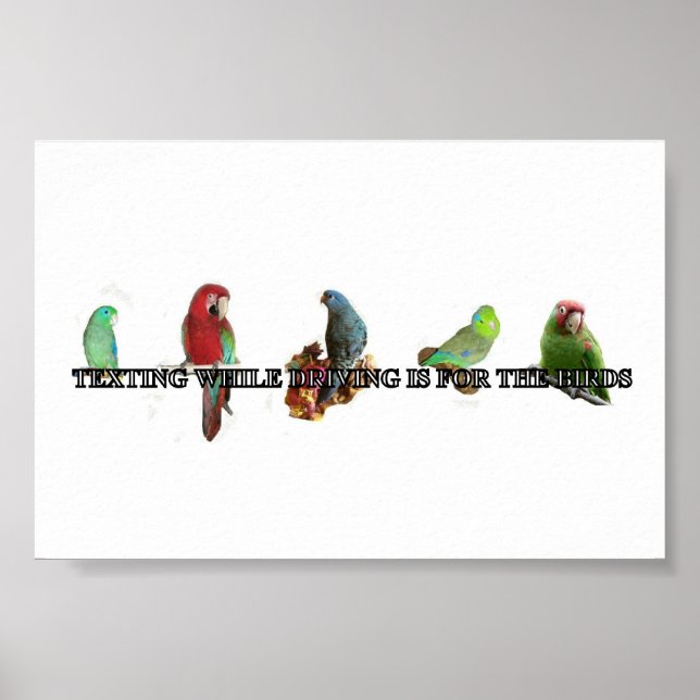 Textera under körning Poster (Framsidan)