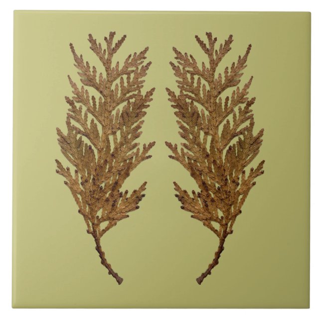 Textural Treasures of Winter on Ceramic Tile - D3 Kakelplatta (Framsidan)