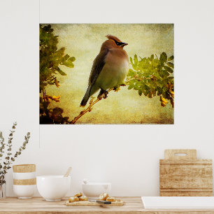 Texturerad cedarvaxning Poster Skriv ut