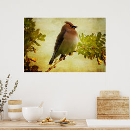 Texturerad Cedertrupial Postertryck Poster