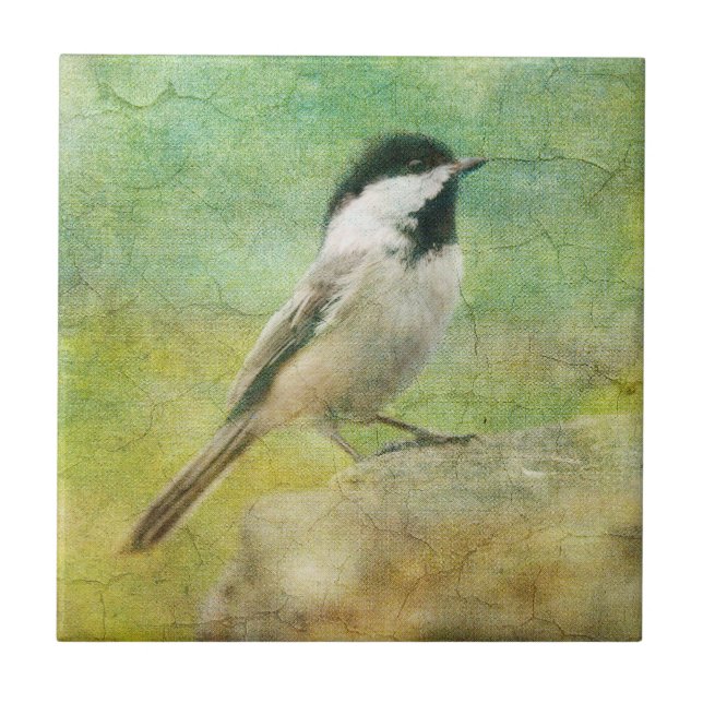 Texturerad Chickadee Kakelplatta (Framsidan)