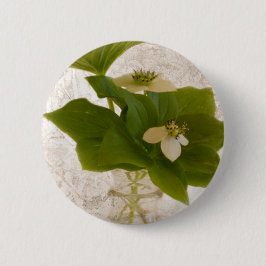 Texturerad Dogwood Bunch Berry Pin On Button Knapp